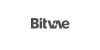 BITVAE