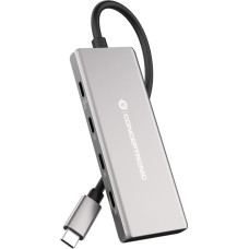 Conceptronic HUBBIES17G interfeisa centrmezgls USB 3.2 Gen 2 (3.1 Gen 2) Type-C 10000 Mbit/s Pelēks