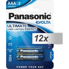 Panasonic 12x2 Panasonic Evolta LR 03 Micro                LR03EGE/2BP