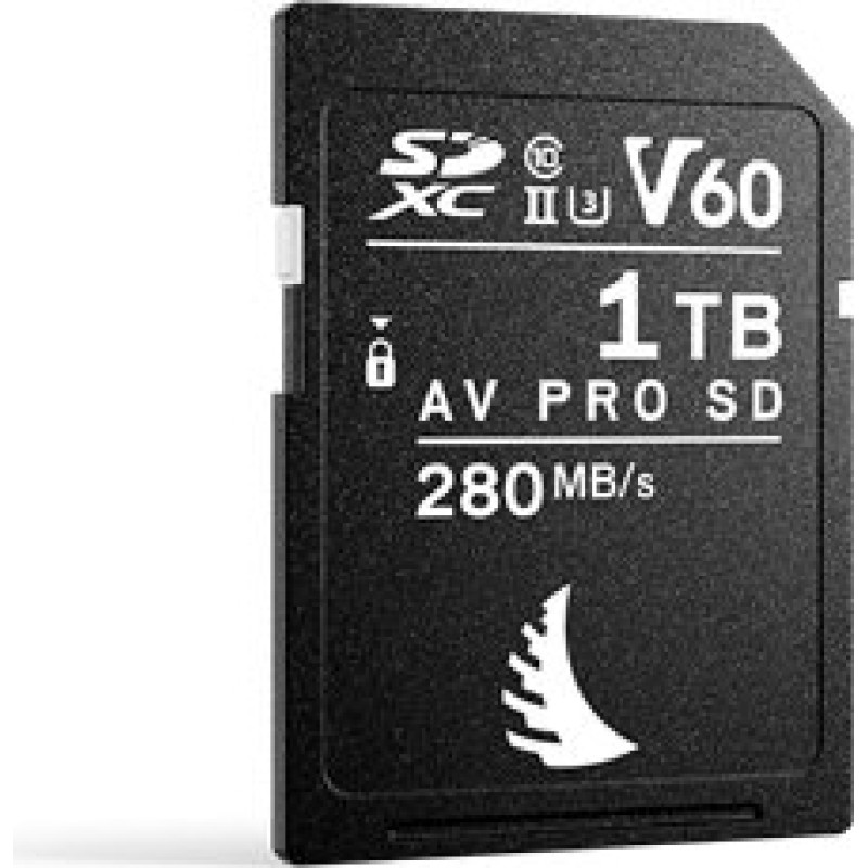 PNY Angelbird AV PRO SD 1TB V60