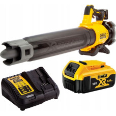 Dewalt .DMUCHAWA 18V 1x5,0Ah DCMBL562P1