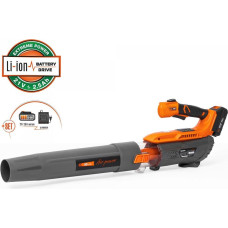 Daewoo CORDLESS LEAF BLOWER 21W/DABL 5521LI SET DAEWOO