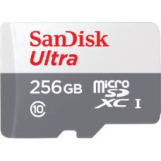 Sandisk By Western Digital MEMORY MICRO SDXC 256GB UHS-I/SDSQUNR-256G-GN6TA SANDISK