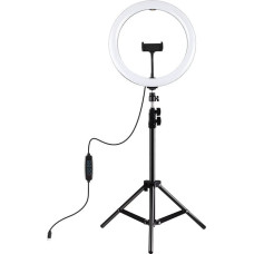 Puluz Ring light PULUZ  PKT3098B