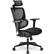 Sharkoon office chair OfficePal C40 (black)