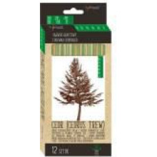 St. Majewski Cedar pencil