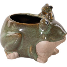Progarden Porcelanowa doniczka ogrodowa, żaba, 15 x 11 cm
