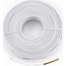 Activejet TELEPHONICAL CABEL 4-LIVES BETWEEN 100M SHARY