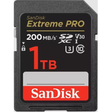 Sandisk By Western Digital MEMORY SDXC 1TB UHS-I/SDSDXXD-1T00-GN4IN SANDISK