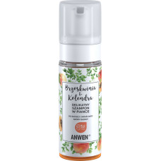 Anwen Shampoo in Peach Foam&Colendra 170ml