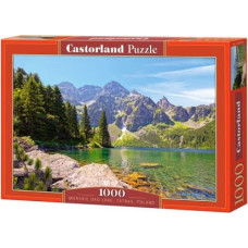 Castor 1000 PCS Lake Tat ras Poland