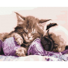 Symag Picture Paint it! Painting by numbers Cat and dog