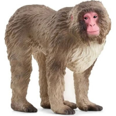 Schleich Figurine Japanese macaque Wild Life