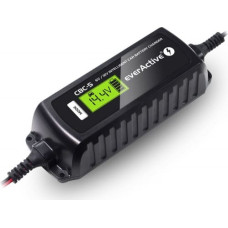 Everactive CAR BATTERY CHARGER 6V/ 12V