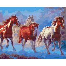 Symag Picture Paint it! Painting by numbers Herd of horses