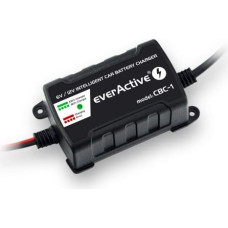 Everactive CAR BATTERY CHARGER 6V/ 12V