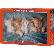 Castor Puzzles 1000 elements The Sweetest Kittens