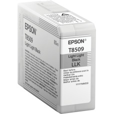 Epson T850900 tintes kārtridžs 1 pcs Oriģināls Ļoti gaiši melns