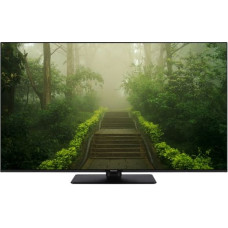 Panasonic TB-55W60AEZ black