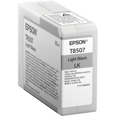 Epson T850700 tintes kārtridžs 1 pcs Oriģināls Gaiši melns