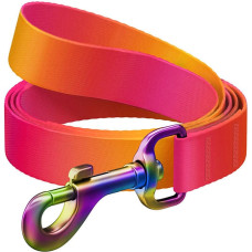 Waudog gradient nylon dog leash, 20mm wide, 122cm long, orange