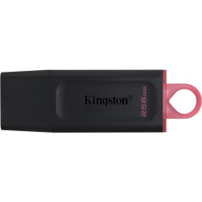 Kingston MEMORY DRIVE FLASH USB3.2/256GB DTX/256GB KINGSTON