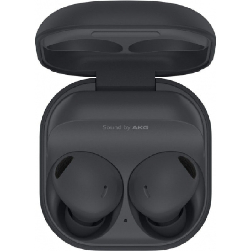 Samsung Galaxy Buds 2 Pro R510 Grey