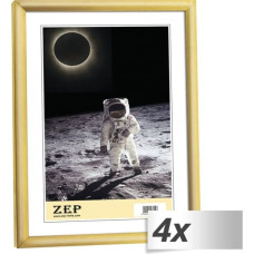 ZEP 4x1 ZEP New Easy gold      30x40 Resin Frame KG5