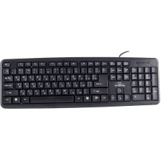 Esperanza TK101UA Titanium USB keyboard (ukrainian)